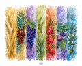 Palette of Seven