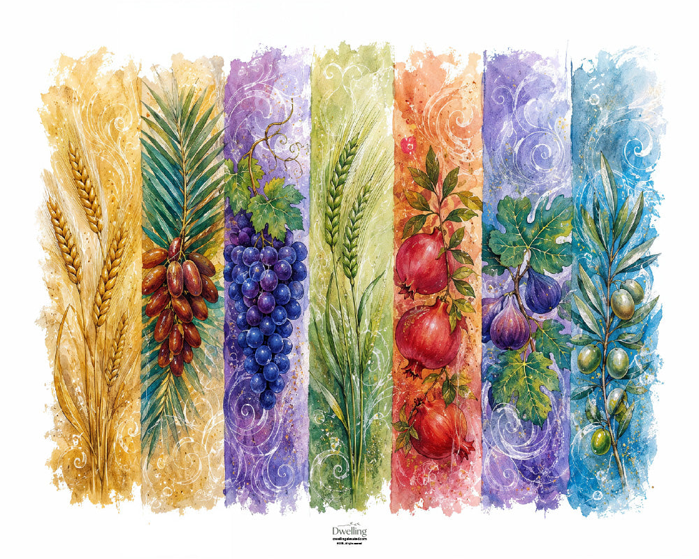 Palette of Seven