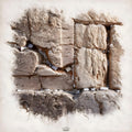 To Touch the Kosel