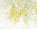 Precious Fruit