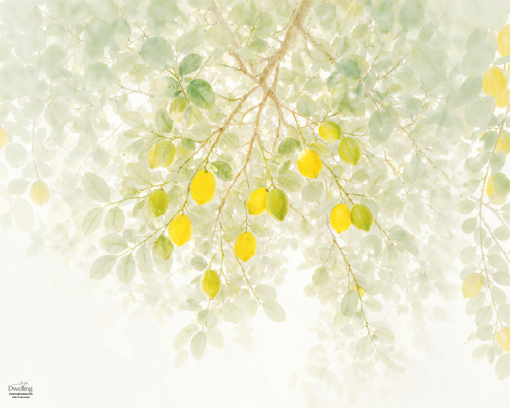 Precious Fruit