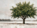 Bountiful Esrogim